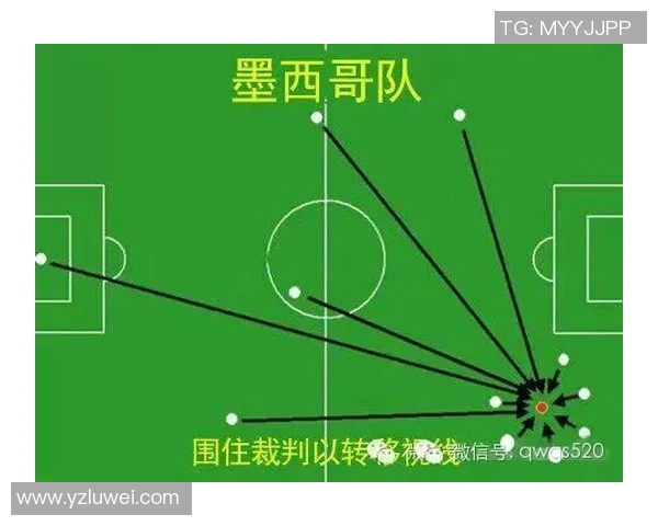 成都排球队在杯赛中的个人能力展现与战术配合分析